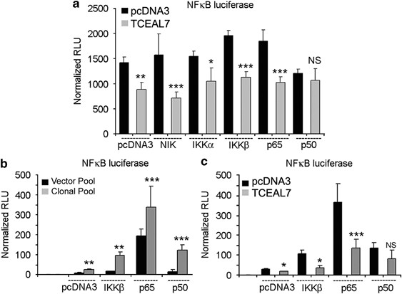 Epigenetic silencing of TCEAL7 (Bex4) in ovarian cancer