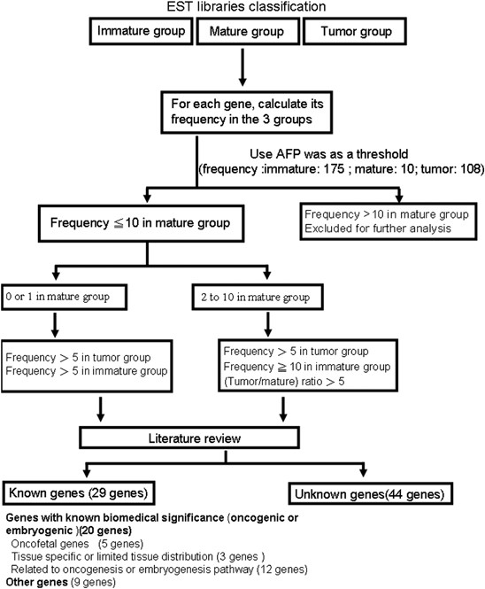 Identifying lrrc16b as an oncofetal gene with transforming enhancing capability using a combined bioinformatics and experimental approach