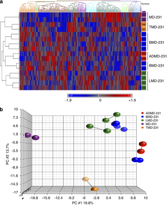 Control of evi-1 oncogene expression in metastatic breast cancer cells through microrna mir-22