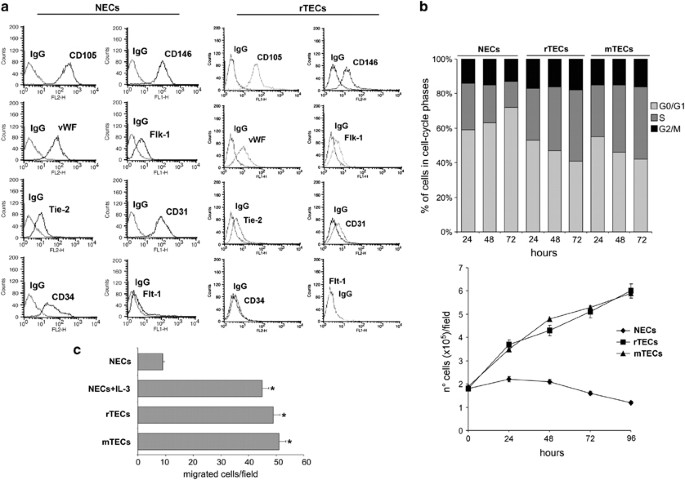 IL-3 is a novel target to interfere with tumor vasculature