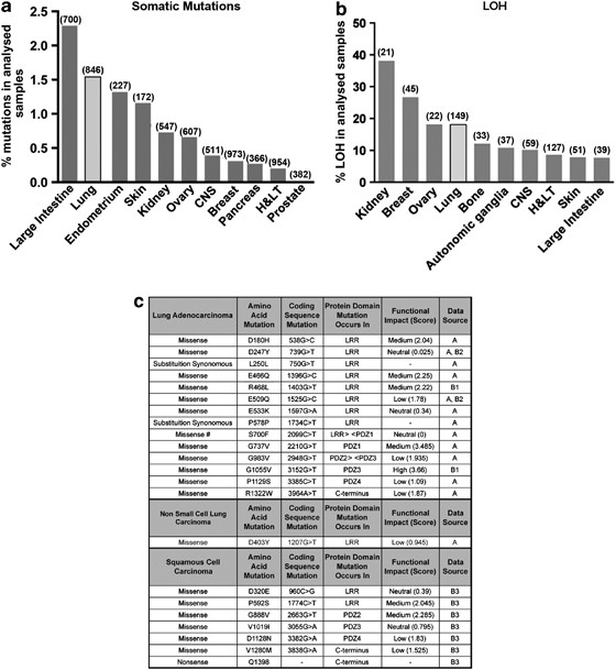 Scrib heterozygosity predisposes to lung cancer and cooperates with kras hyperactivation to accelerate lung cancer progression in vivo