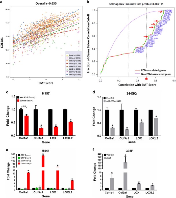 ZEB1 induces LOXL2-mediated collagen stabilization and deposition in the extracellular matrix to drive lung cancer invasion and metastasis
