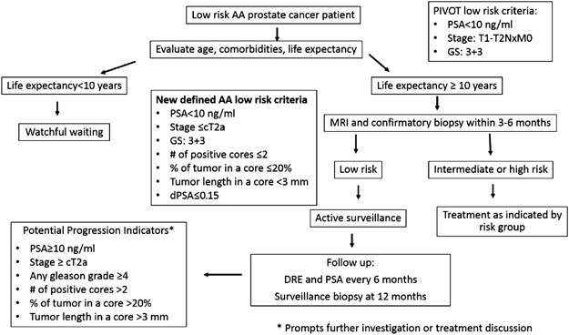 Is Active Surveillance A Suitable Option For African American Men With Prostate Cancer A Systemic Literature Review Prostate Cancer And Prostatic Diseases