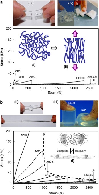 Gelation Mechanism of Poly(N-isopropylacrylamide)−Clay Nanocomposite Gels