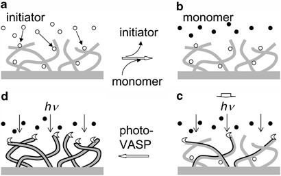 Hydrophobic cellulose fiber surfaces modified with 2,2,3,3,3-pentafluoropropylmethacrylate (fma) by vapor-phase-assisted photopolymerization