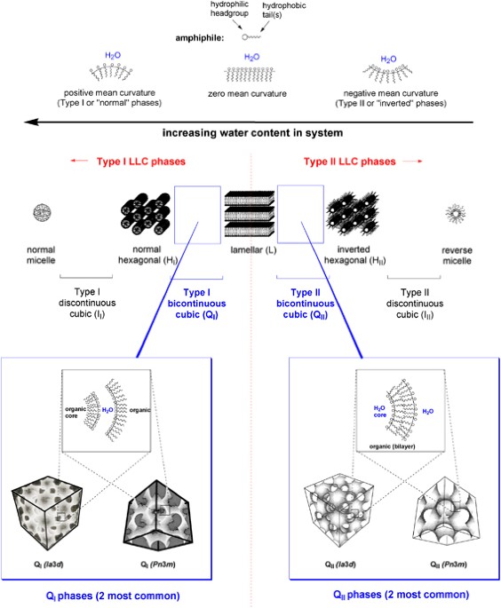 Nanoporous Polymer Materials Based On Self Organized Bicontinuous Cubic Lyotropic Liquid Crystal Assemblies And Their Applications Polymer Journal