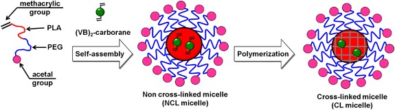 Boron Neutron Capture Therapy Assisted By Boron Conjugated Nanoparticles Polymer Journal