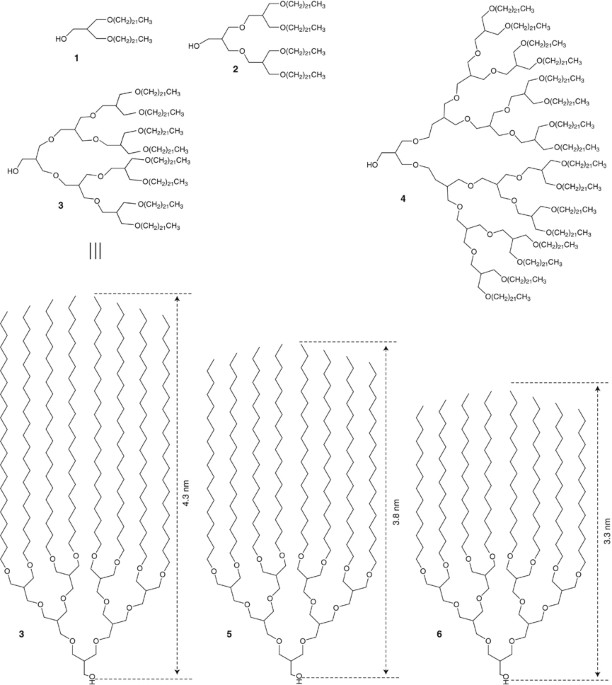 Spontaneous Bulk Organization Of Molecular Assemblers Based On Aliphatic Polyether And Or Poly Benzyl Ether Dendrons Polymer Journal Spontaneous Bulk Organization Of Molecular Assemblers Based On Aliphatic Polyether And Or Poly Benzyl Ether Dendrons Polymer Journal