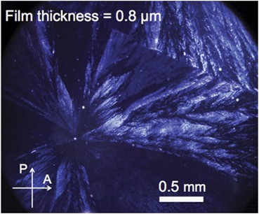 Three Dimensional Analyses Of Spherulite Morphology In Poly Oxyethylene And Its Blends With Amorphous Poly D L Lactic Acid Using X Ray Computerized Tomography Polymer Journal Three Dimensional Analyses Of Spherulite Morphology In Poly Oxyethylene And Its Blends With Amorphous Poly D L Lactic Acid Using X Ray Computerized Tomography Polymer Journal