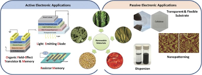 Renewable polymeric materials for electronic applications 