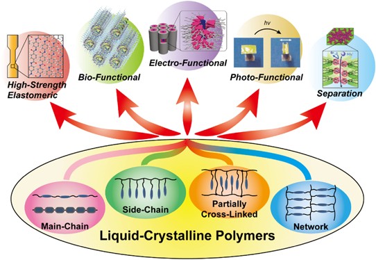 Functional liquid-crystalline polymers and supramolecular liquid crystals |  Polymer Journal