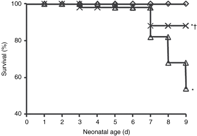Pentoxifylline and prevention of hyperoxia-induced lung injury in neonatal rats