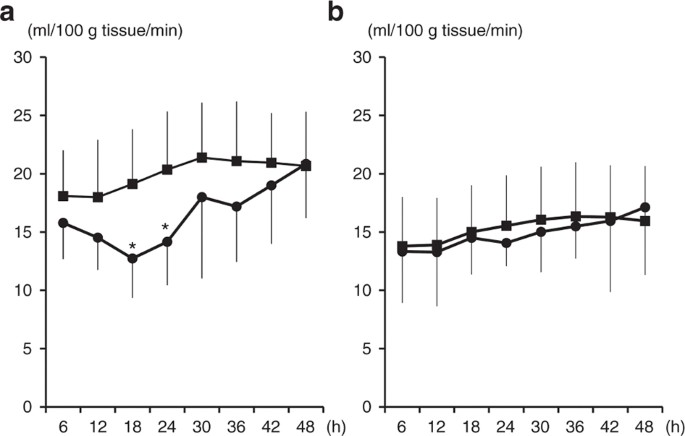 Skin blood flow as a predictor of intraventricular hemorrhage in very-low-birth-weight infants