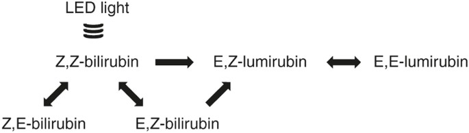 Bilirubin Isomer Distribution In Jaundiced Neonates During Phototherapy With Led Light Centered At 497 Nm Turquoise Vs 459 Nm Blue Pediatric Research