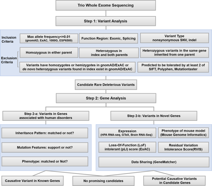 Your Guide to Setting Up a HLDS