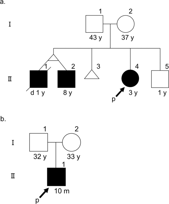 Bcs1l mutations produce fanconi syndrome with developmental disability