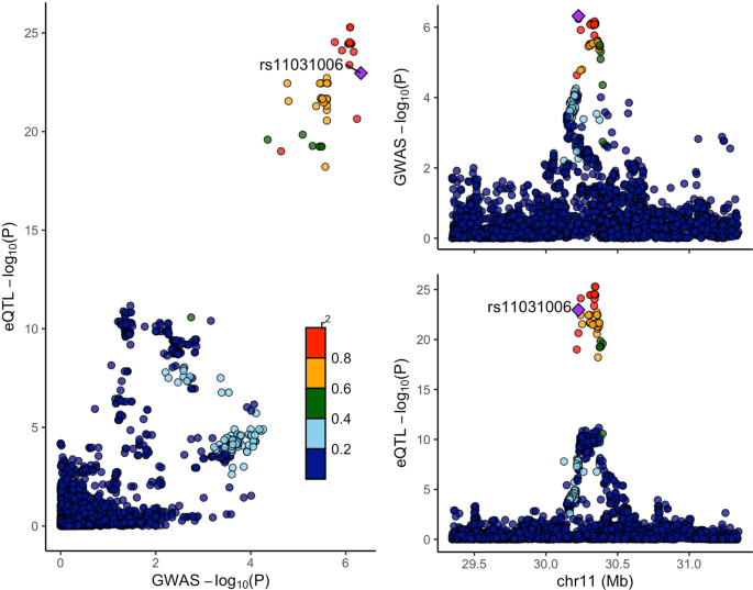 Transcriptome-wide association analyses identify an association between arl14ep and polycystic ovary syndrome