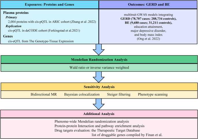 glutathione for gerd Potential drug targets for gastroesophageal reflux disease and Barrett's  esophagus identified through Mendelian randomization analysis