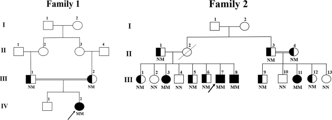 DNAJB2-də iki splicing‑nöqtəsi varyantının dəyişkən fenotipik ifadələri: iki ailədən və sistematik icmalardan əldə edilən nəticələr
