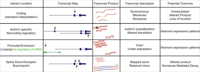 Inherited Variations In Noncoding >> Realizing The Significance Of Noncoding Functionality In Clinical Inherited Variations In Noncoding >> Realizing The Significance Of Noncoding Functionality In Clinical