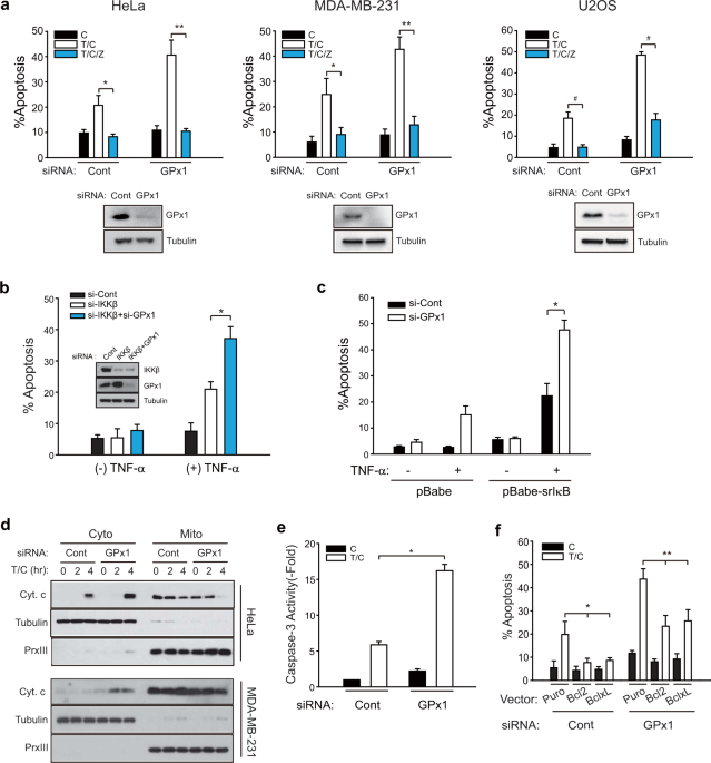 Glutathione peroxidase-1 regulates ASK1-dependent apoptosis via interaction  with TRAF2 in RIPK3-negative cancer cells | Experimental & Molecular  Medicine