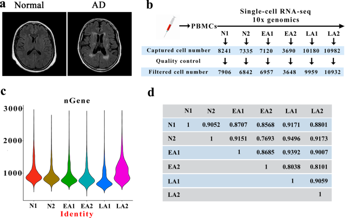 Single-cell RNA sequencing reveals B cell–related molecular biomarkers for Alzheimer’s disease