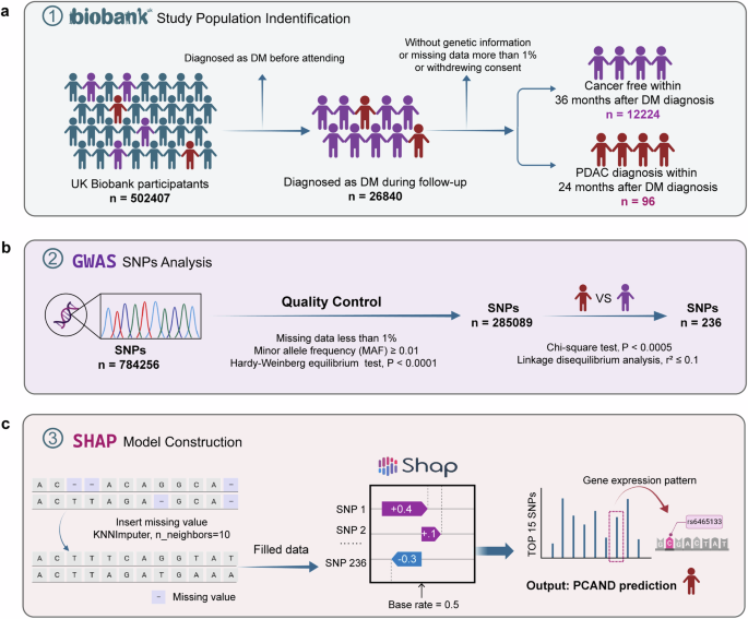 Sorcin can trigger pancreatic cancer-associated new-onset diabetes through the secretion of inflammatory cytokines such as serpin e1 and ccl5