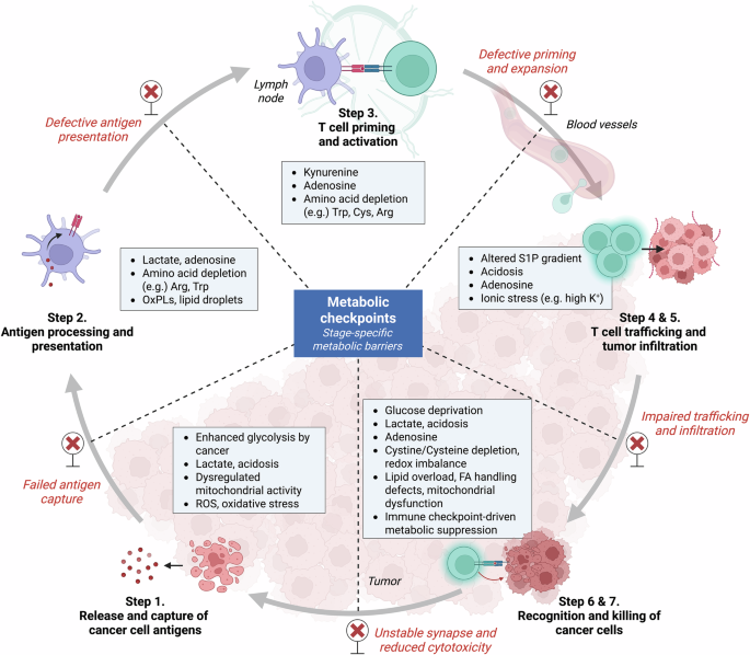 Metabolic rewiring of the dendritic cell–T cell axis: tumour-derived barriers and therapeutic opportunities
