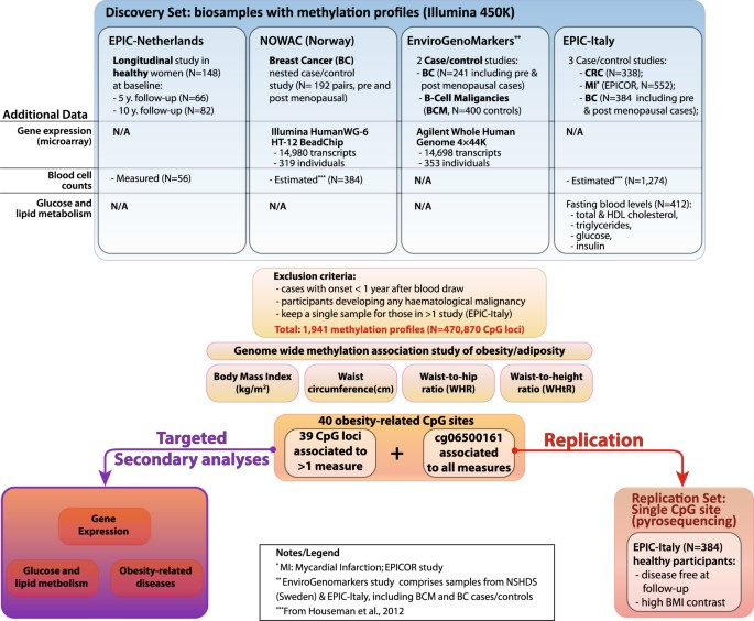 Epigenome Wide Association Study Of Adiposity And Future Risk Of Obesity Related Diseases International Journal Of Obesity