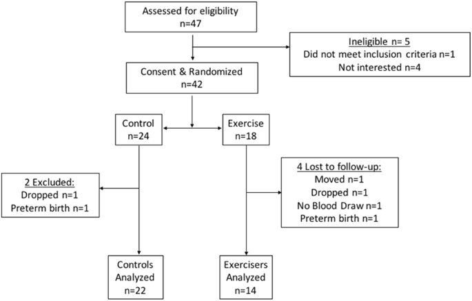 Influence of aerobic exercise on maternal lipid levels and offspring morphometrics
