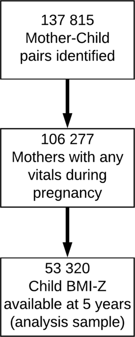 Type Timing Of Maternal Infection >> Maternal Antibiotic Use During Pregnancy And Childhood Obesity At Type Timing Of Maternal Infection >> Maternal Antibiotic Use During Pregnancy And Childhood Obesity At
