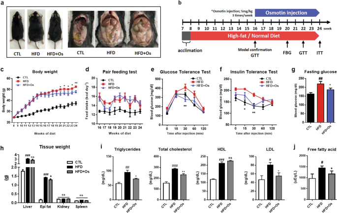 Adiponectin homolog osmotin, a potential anti-obesity compound, suppresses abdominal fat accumulation in c57bl/6 mice on high-fat diet and in 3t3-l1 a