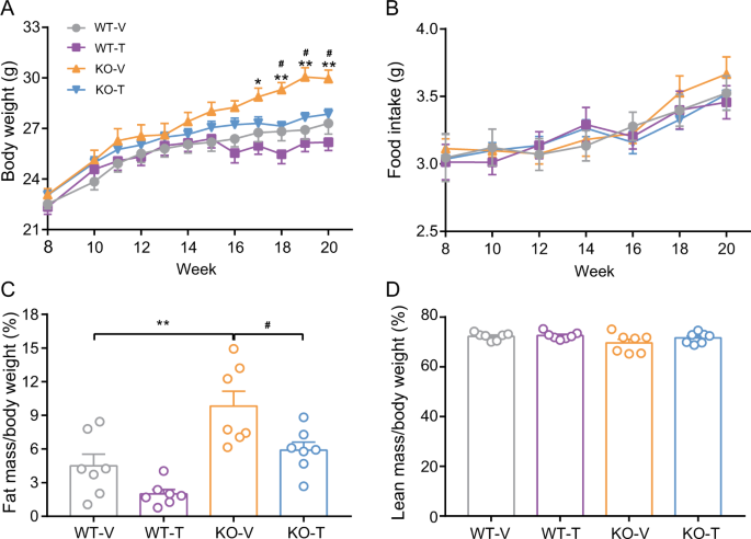 Calcipotriol and ibrd9 reduce obesity in nur77 knockout mice by regulating the gut microbiota, improving intestinal mucosal barrier function