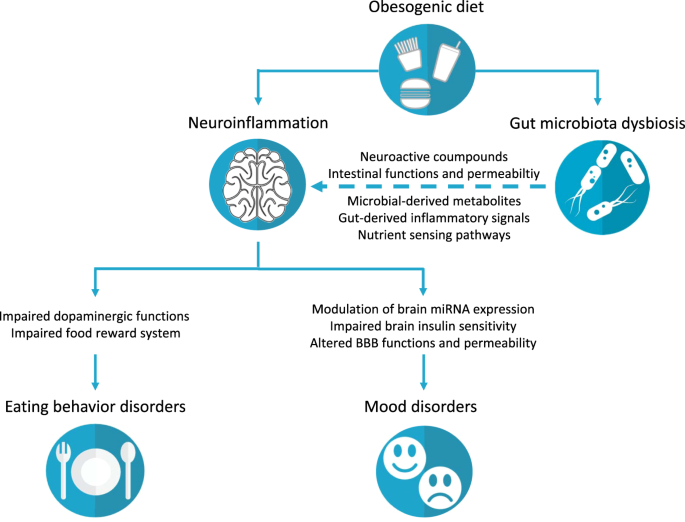 Dysbiosis eating disorders - spatv.ro