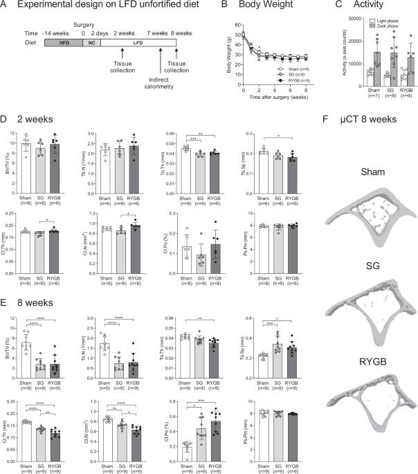 The curious fate of bone following bariatric surgery: bone effects of  sleeve gastrectomy (SG) and Roux-en-Y gastric bypass (RYGB) in mice |  International Journal of Obesity