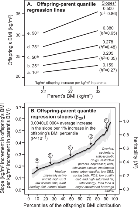 Quantile Dependent Heritability Of Computed Tomography Dual Energy X Ray Absorptiometry Anthropometric And Bioelectrical Measures Of Adiposity International Journal Of Obesity