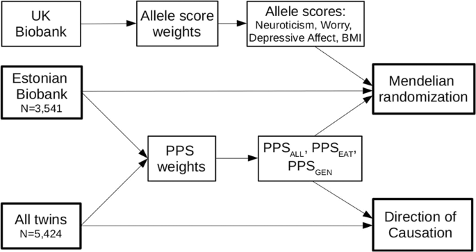 Two Genetic Analyses To Elucidate Causality Between Body Mass Index And Personality International Journal Of Obesity