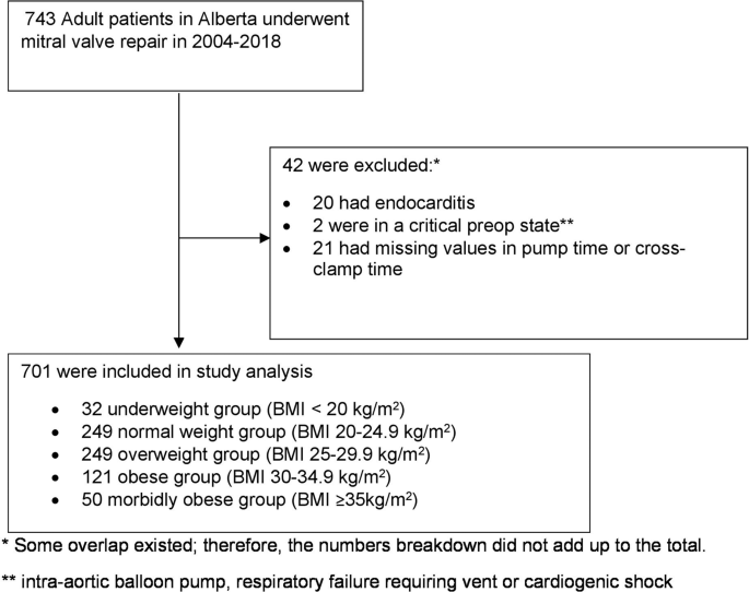 The Effects Of Body Mass Index On Long Term Outcomes And Cardiac Remodeling Following Mitral Valve Repair Surgery International Journal Of Obesity The Effects Of Body Mass Index On Long Term Outcomes And Cardiac Remodeling Following Mitral Valve Repair Surgery International Journal Of Obesity