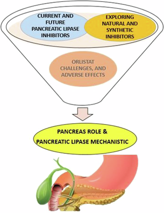 semaglutide pancreatitis legal team in kentucky Role of pancreatic lipase inhibition in obesity treatment: mechanisms and  challenges towards current insights and future directions