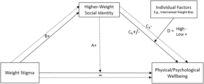 Higher-weight social identity as a risk and protective factor in the negative health consequences of weight stigma: a systematic review Higher-weight social identity as a risk and protective factor in the negative health consequences of weight stigma: a systematic review