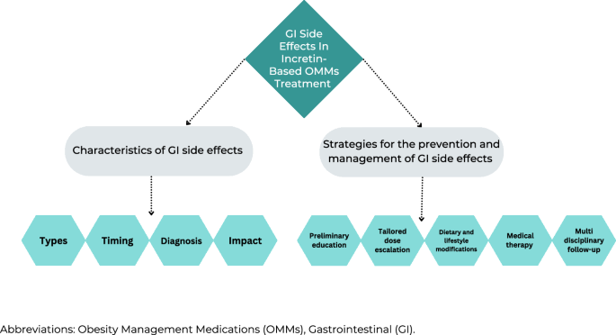 Gastrointestinal side effects of incretin-based obesity management medications: insights from healthcare professionals and patients’ experiences