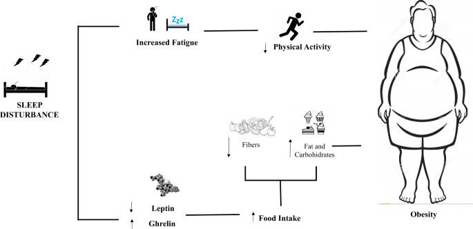 Obesity And Sleep: Unveiling the Hidden Connection