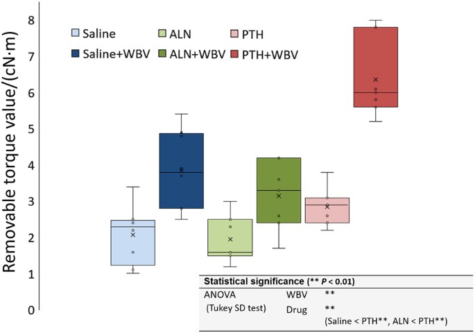 Effect Of High Frequency Loading And Parathyroid Hormone Administration On Peri Implant Bone Healing And Osseointegration International Journal Of Oral Science