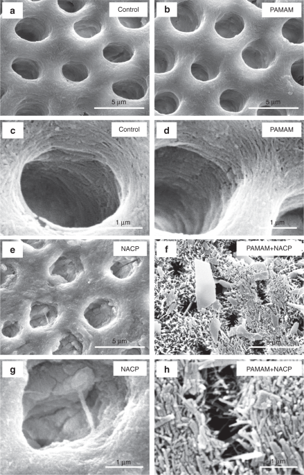 figure6