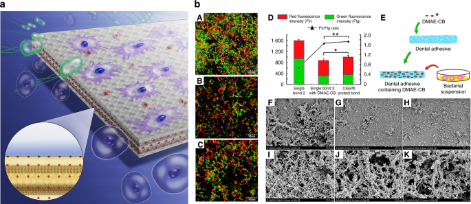 Nanoparticles for Oral Biofilm Treatments