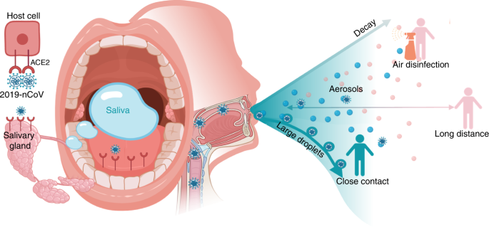 The Science of Spit