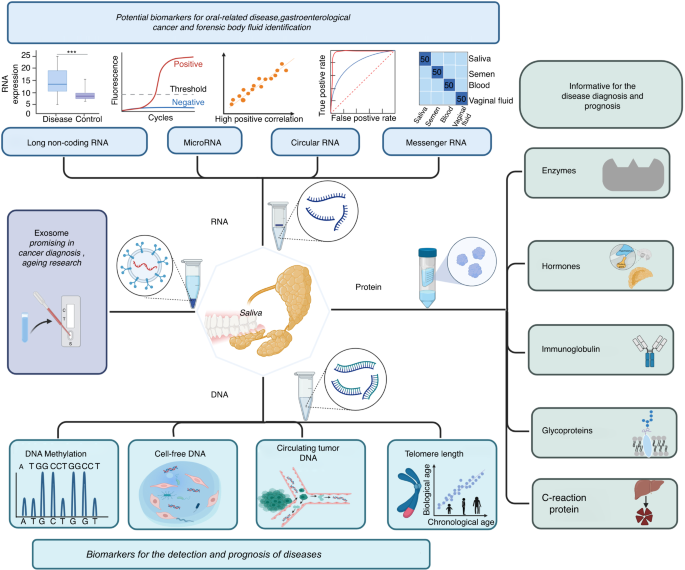 Promising applications of human-derived saliva biomarker testing in  clinical diagnostics