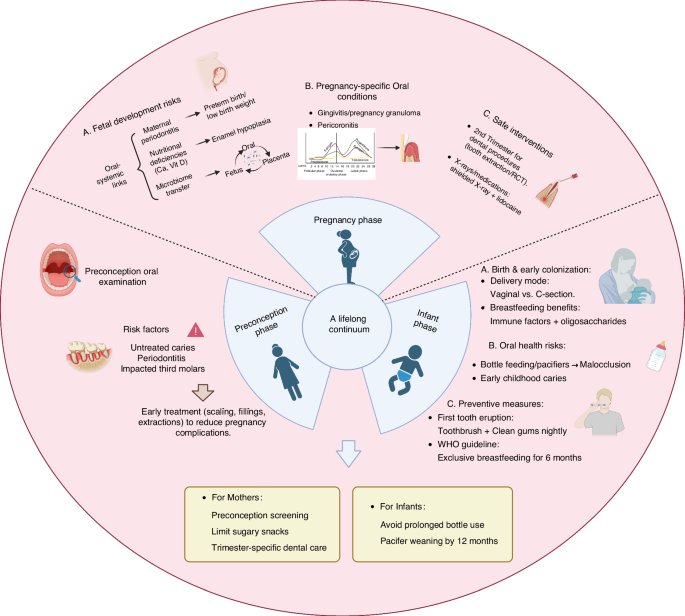 Expert consensus on the treatment of oral diseases in pregnant women and infants