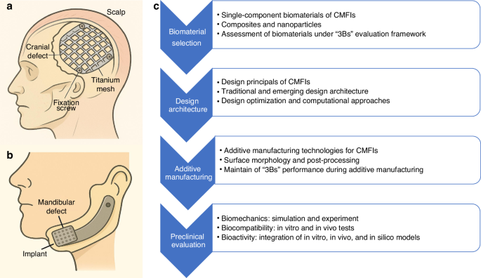 dihexa oral bioavailability Dihexa: Mechanism, Effects & Research Studies