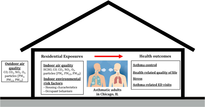 The Connection between Indoor Air Quality And Asthma: Vital Insights